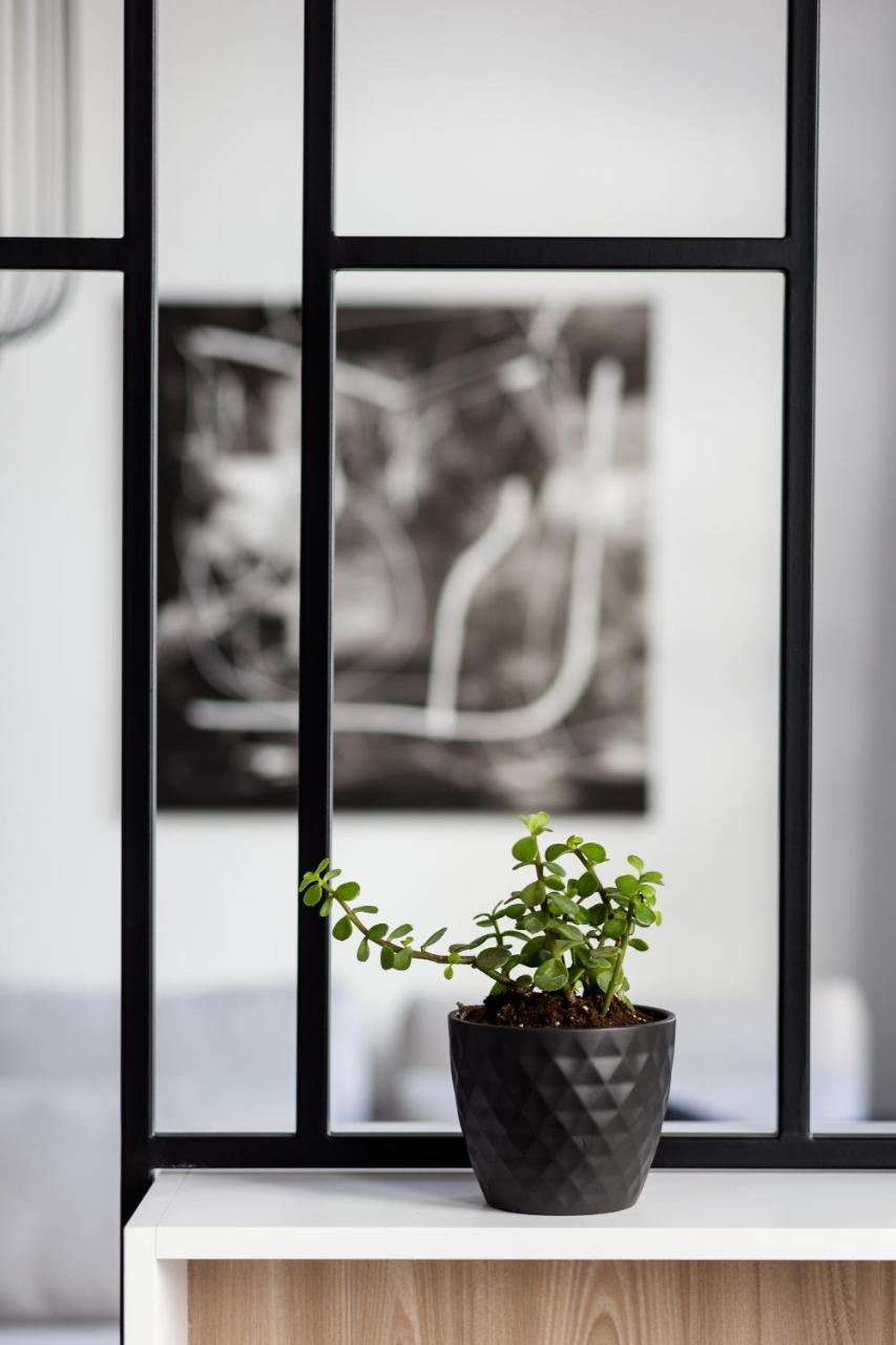 Luxury Apartments In Plaka By Upstreet 아테네 외부 사진